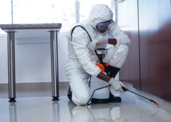 Услуги дезинсекции, дератизации и дезинфекции от компании ДЕЗФОКС