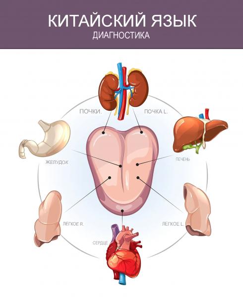 Что язык говорит о вашем здоровье