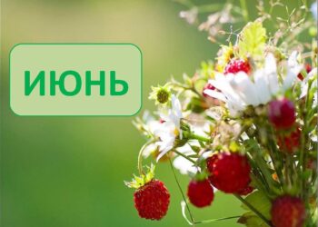 Ежемесячный гороскоп на июнь 2024 года