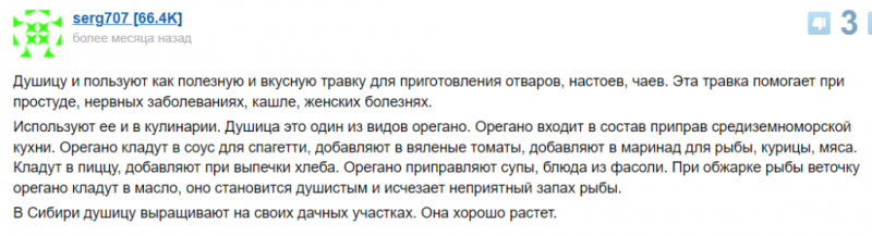 Орегано &ndash; волшебная трава. Какими полезными свойствами она обладает