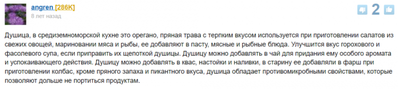 Орегано &ndash; волшебная трава. Какими полезными свойствами она обладает