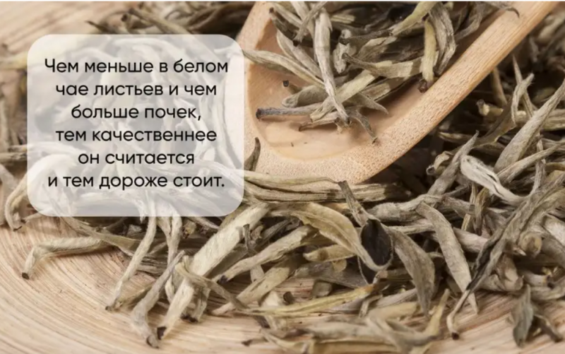 Белый чай &ndash; чай молодости и здоровья. В чем его польза