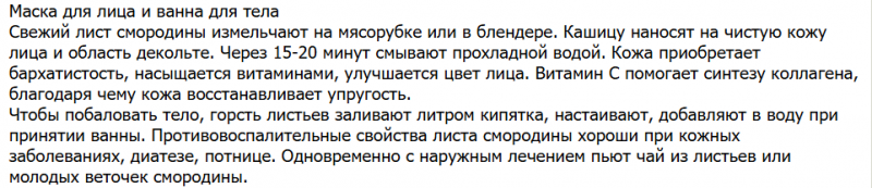 Чем полезен чай из смородиновых листьев