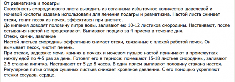 Чем полезен чай из смородиновых листьев