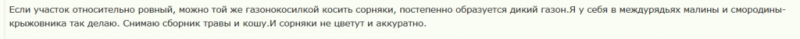 Какие растения способны справиться с сорняками