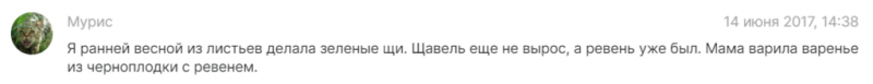 Ревень &ndash; удивительно полезное растение