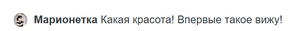 Скумпия: красивое целебное растение. В чем его польза