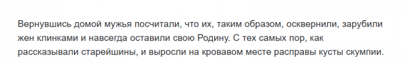 Скумпия: красивое целебное растение. В чем его польза