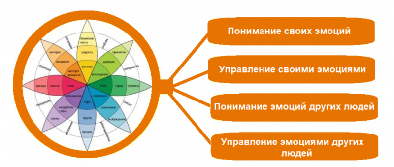 Что такое эмоциональный интеллект и как его развить