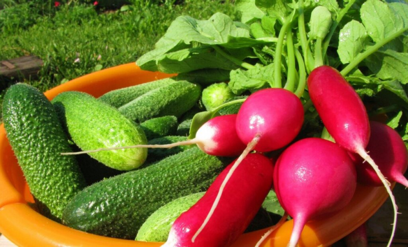 Какие продукты имеют отрицательную калорийность
