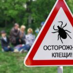 10 растений против насекомых. Лучше, чем химия