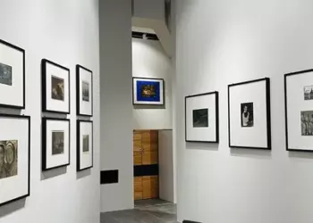 Июльский дождь, фотоискусство и Дэвид Линч: чем заняться с 15 по 21 июля