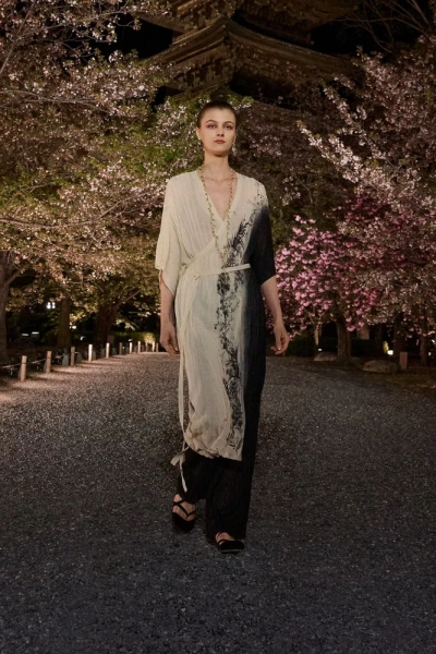Dior Pre-Fall 2025