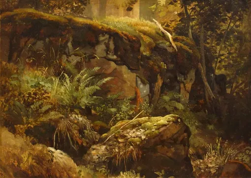 Шишкин Иван. «Камни в лесу. Валаам Этюд», 1858 год